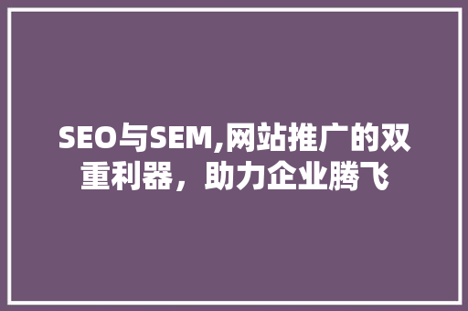 SEO与SEM,网站推广的双重利器，助力企业腾飞