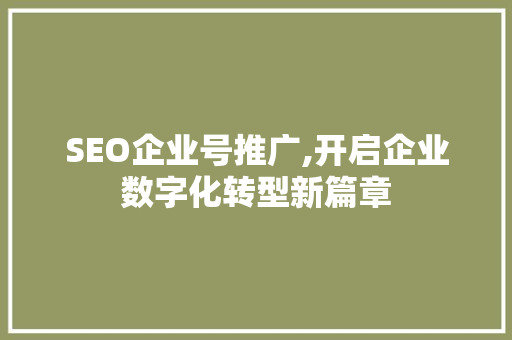 SEO企业号推广,开启企业数字化转型新篇章  第1张