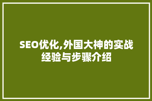 SEO优化,外国大神的实战经验与步骤介绍