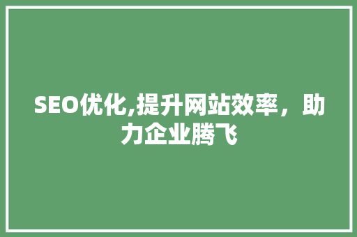 SEO优化,提升网站效率，助力企业腾飞