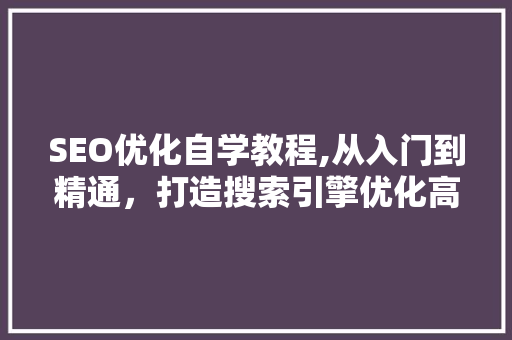 SEO优化自学教程,从入门到精通，打造搜索引擎优化高手