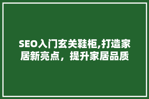 SEO入门玄关鞋柜,打造家居新亮点，提升家居品质