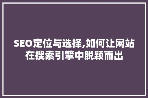 SEO定位与选择,如何让网站在搜索引擎中脱颖而出