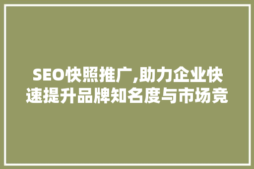 SEO快照推广,助力企业快速提升品牌知名度与市场竞争力