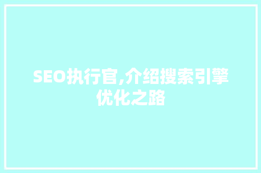 SEO执行官,介绍搜索引擎优化之路