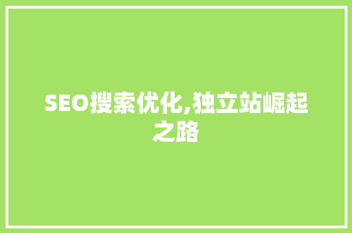 SEO搜索优化,独立站崛起之路