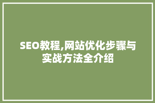 SEO教程,网站优化步骤与实战方法全介绍