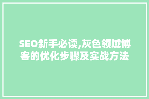 SEO新手必读,灰色领域博客的优化步骤及实战方法  第1张