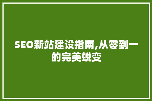 SEO新站建设指南,从零到一的完美蜕变