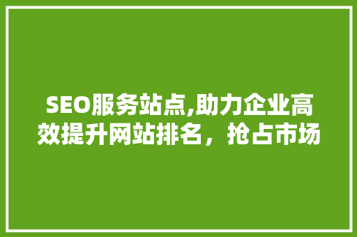 SEO服务站点,助力企业高效提升网站排名，抢占市场先机