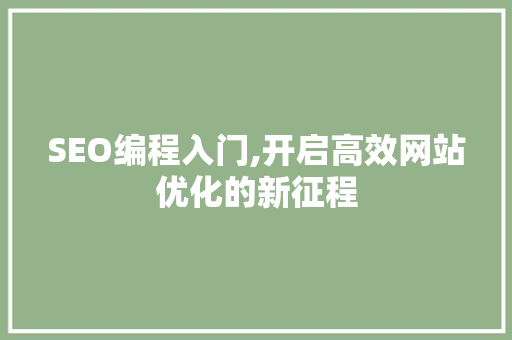 SEO编程入门,开启高效网站优化的新征程
