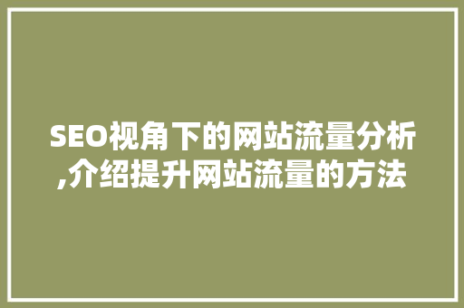 SEO视角下的网站流量分析,介绍提升网站流量的方法