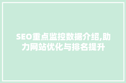 SEO重点监控数据介绍,助力网站优化与排名提升