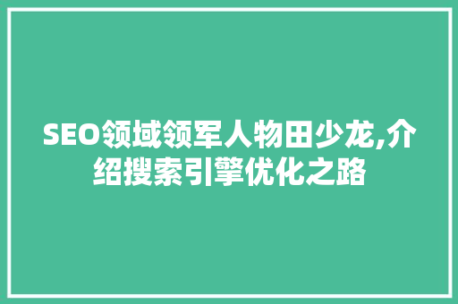 SEO领域领军人物田少龙,介绍搜索引擎优化之路