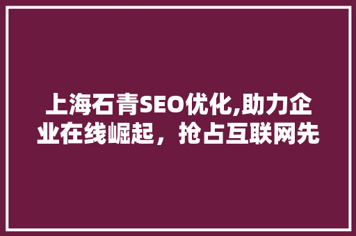 上海石青SEO优化,助力企业在线崛起，抢占互联网先机