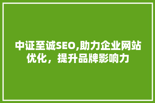 中证至诚SEO,助力企业网站优化，提升品牌影响力