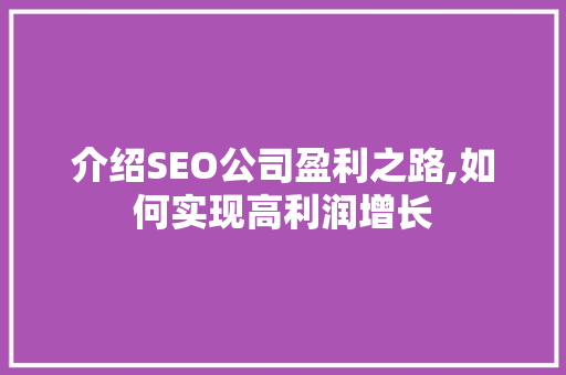 介绍SEO公司盈利之路,如何实现高利润增长  第1张