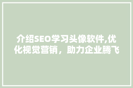 介绍SEO学习头像软件,优化视觉营销，助力企业腾飞