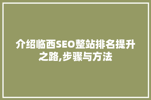 介绍临西SEO整站排名提升之路,步骤与方法  第1张