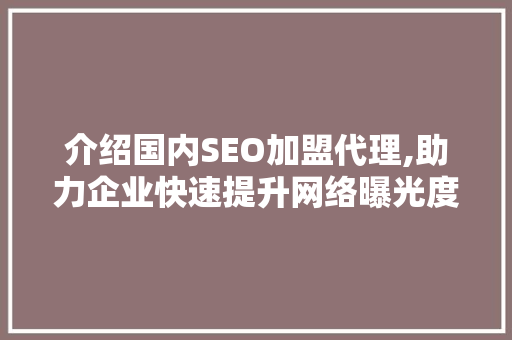 介绍国内SEO加盟代理,助力企业快速提升网络曝光度