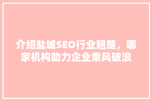 介绍盐城SEO行业翘楚，哪家机构助力企业乘风破浪