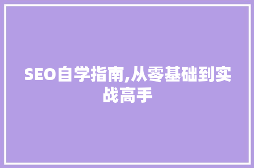 SEO自学指南,从零基础到实战高手