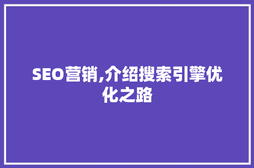 SEO营销,介绍搜索引擎优化之路