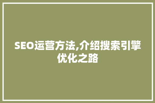 SEO运营方法,介绍搜索引擎优化之路