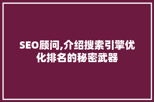 SEO顾问,介绍搜索引擎优化排名的秘密武器