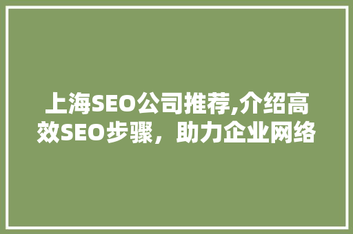 上海SEO公司推荐,介绍高效SEO步骤，助力企业网络营销腾飞