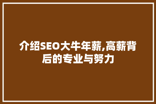 介绍SEO大牛年薪,高薪背后的专业与努力