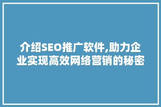 介绍SEO推广软件,助力企业实现高效网络营销的秘密武器