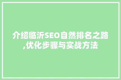 介绍临沂SEO自然排名之路,优化步骤与实战方法