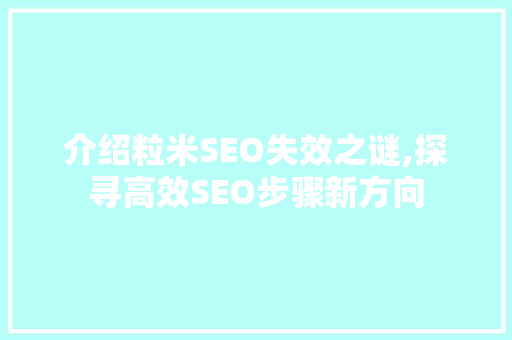 介绍粒米SEO失效之谜,探寻高效SEO步骤新方向