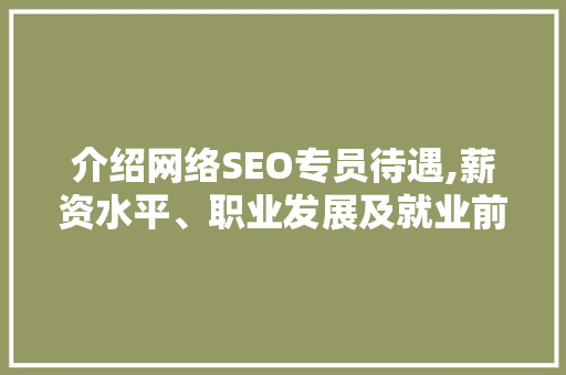 介绍网络SEO专员待遇,薪资水平、职业发展及就业前景