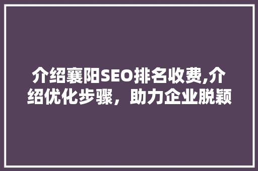 介绍襄阳SEO排名收费,介绍优化步骤，助力企业脱颖而出