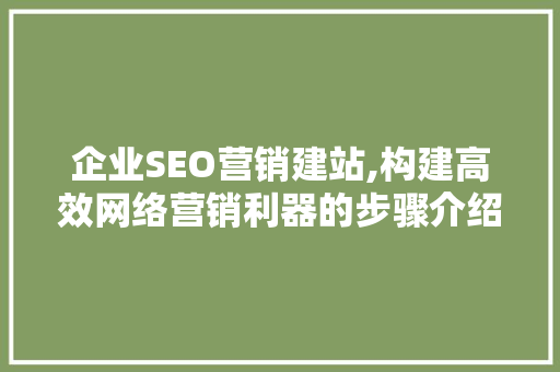 企业SEO营销建站,构建高效网络营销利器的步骤介绍