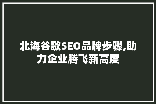 北海谷歌SEO品牌步骤,助力企业腾飞新高度  第1张