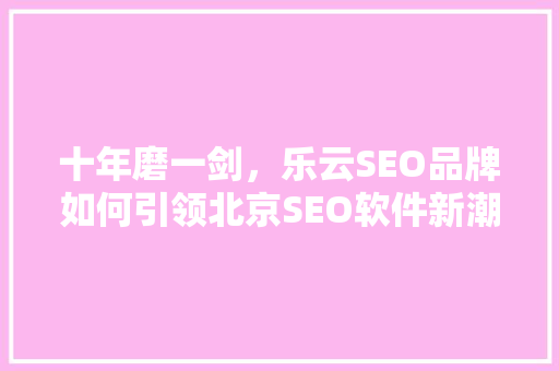 十年磨一剑，乐云SEO品牌如何引领北京SEO软件新潮流  第1张