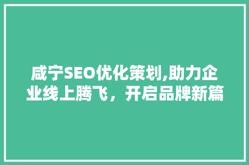 咸宁SEO优化策划,助力企业线上腾飞，开启品牌新篇章