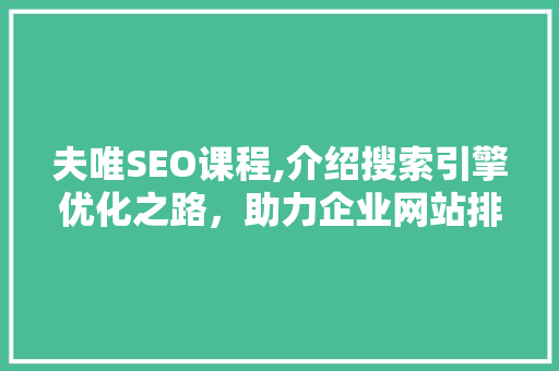 夫唯SEO课程,介绍搜索引擎优化之路，助力企业网站排名飙升