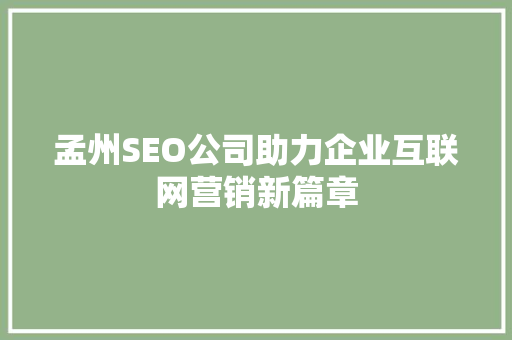 孟州SEO公司助力企业互联网营销新篇章