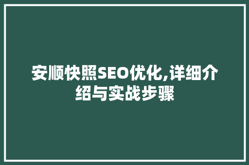 安顺快照SEO优化,详细介绍与实战步骤