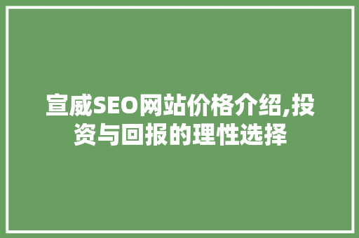 宣威SEO网站价格介绍,投资与回报的理性选择  第1张