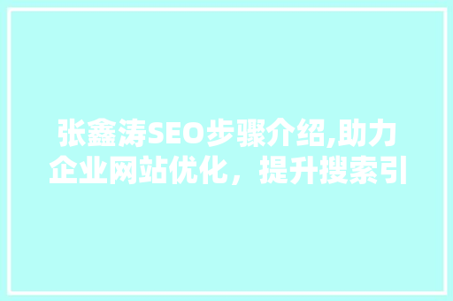 张鑫涛SEO步骤介绍,助力企业网站优化，提升搜索引擎排名