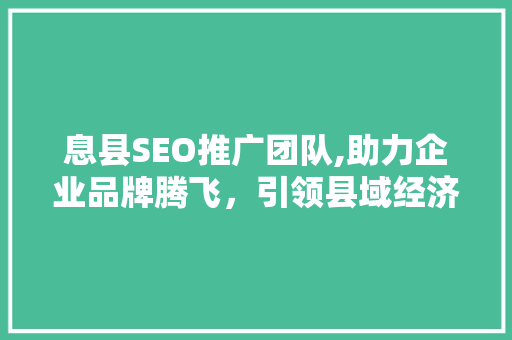 息县SEO推广团队,助力企业品牌腾飞，引领县域经济新篇章  第1张