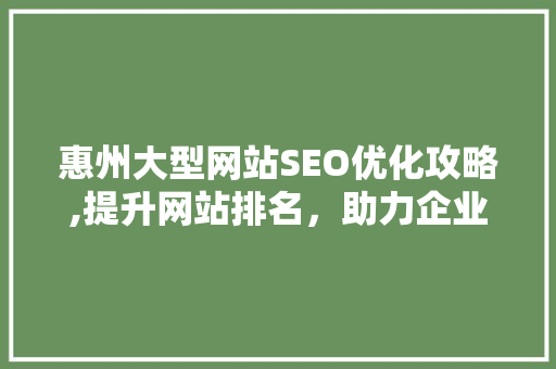 惠州大型网站SEO优化攻略,提升网站排名，助力企业腾飞