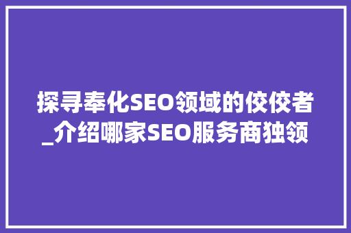 探寻奉化SEO领域的佼佼者_介绍哪家SEO服务商独领风骚