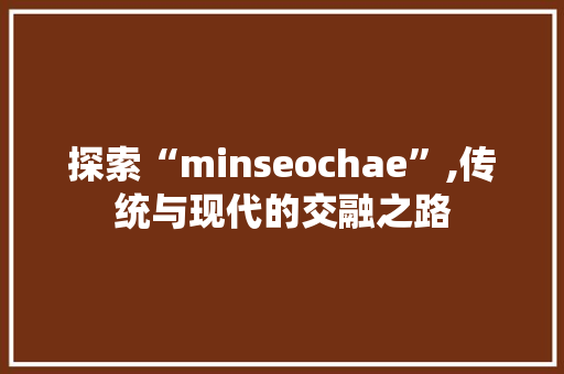 探索“minseochae”,传统与现代的交融之路