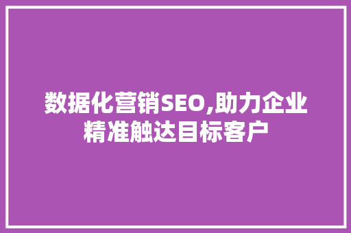数据化营销SEO,助力企业精准触达目标客户